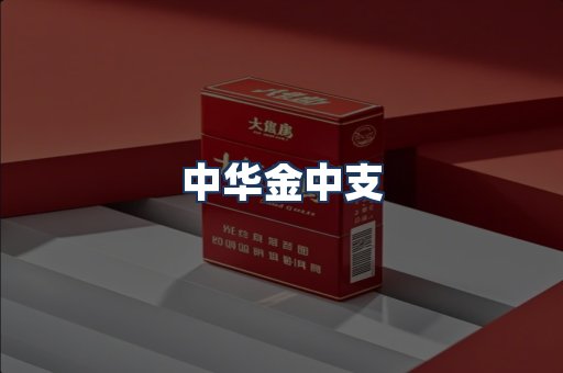 中华金中支